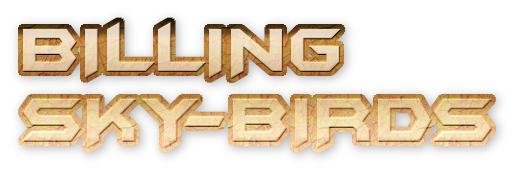 bir billing paragliding camping in bir billing